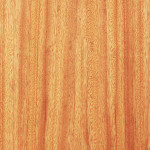 veneers-19.jpg
