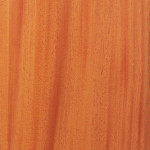 veneers-35.jpg