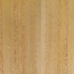 veneers-36.jpg