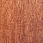veneers-38.jpg